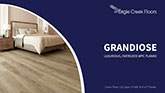 Grandiose Brochure